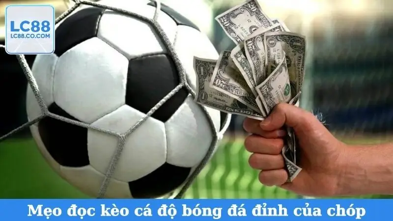 Mẹo đọc kèo cá độ bóng đá đỉnh của chóp